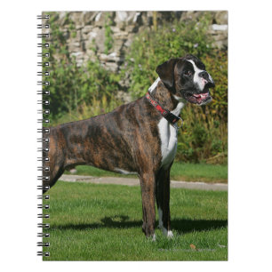 Cuaderno Postura Brindle de la exposición canina del