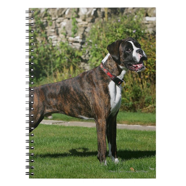 Cuaderno Postura Brindle de la exposición canina del (Frente)