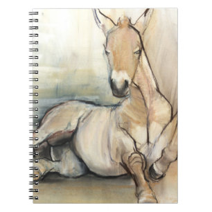 Cuaderno Potro 2012