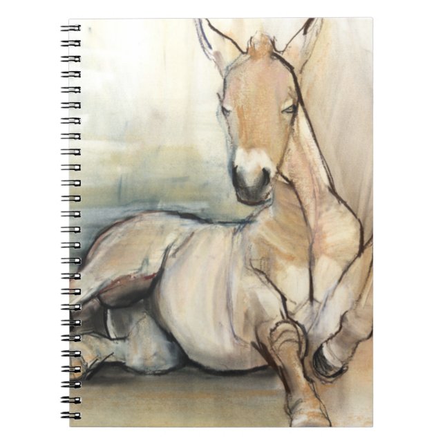 Cuaderno Potro 2012 (Frente)