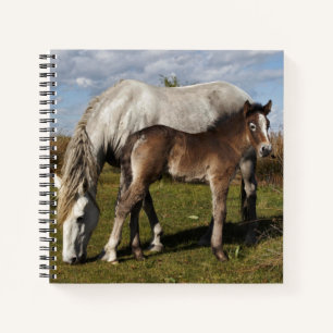 Cuaderno Potro de caballo de Camargue con madre