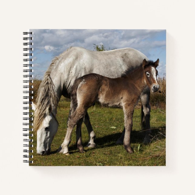 Cuaderno Potro de caballo de Camargue con madre (Anverso)