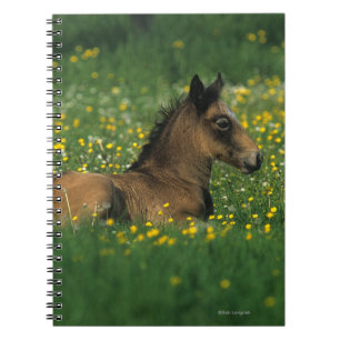Cuaderno Potro que coloca en flores