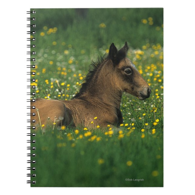 Cuaderno Potro que coloca en flores (Frente)