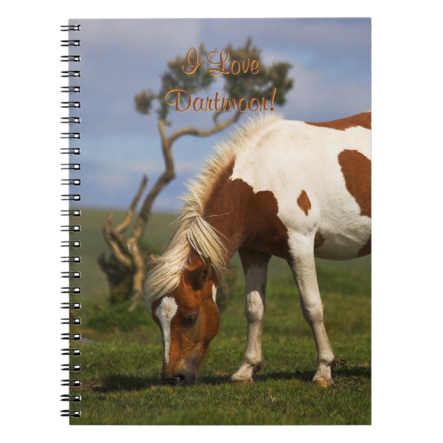 Cuaderno Potro salvaje adorable en Dartmoor (Frente)