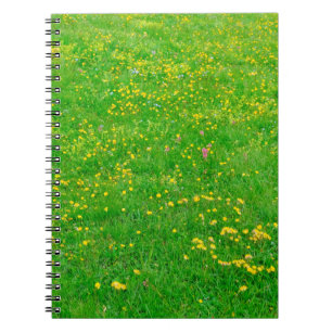 Cuaderno Pradera de flores silvestres de los Alpes Dolomita