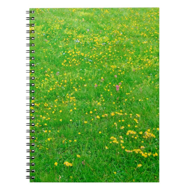 Cuaderno Pradera de flores silvestres de los Alpes Dolomita (Frente)