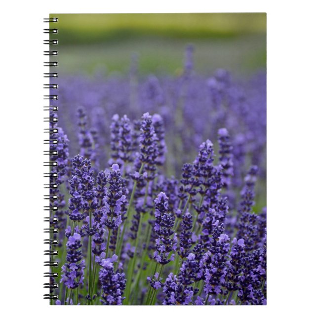 Cuaderno Pradera de lavanda morada (Frente)
