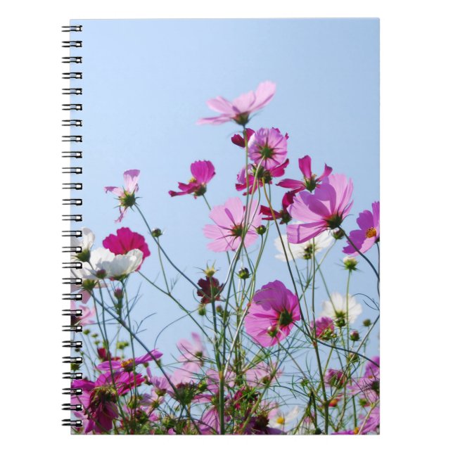 Cuaderno Prado rosado (Frente)