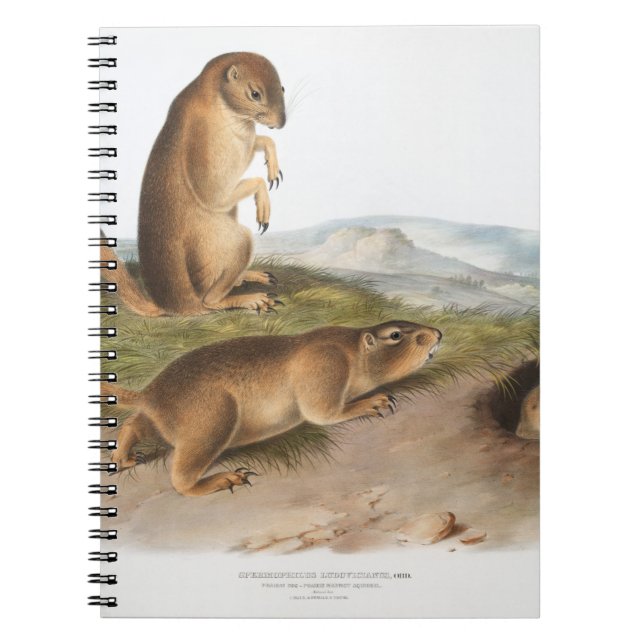 Cuaderno Prairie Perro o Prairie marmot ardilla Camping (Frente)