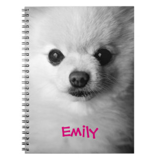 Cuaderno precioso de Pomeranian