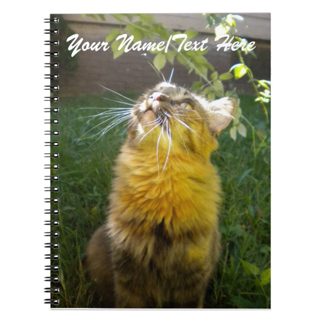 Cuaderno Precious Kitty Notebook (Frente)