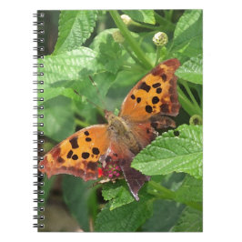 Cuaderno Pregunta Mark Butterfly sobre Lantana