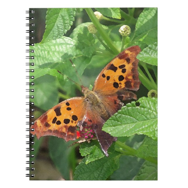 Cuaderno Pregunta Mark Butterfly sobre Lantana (Frente)