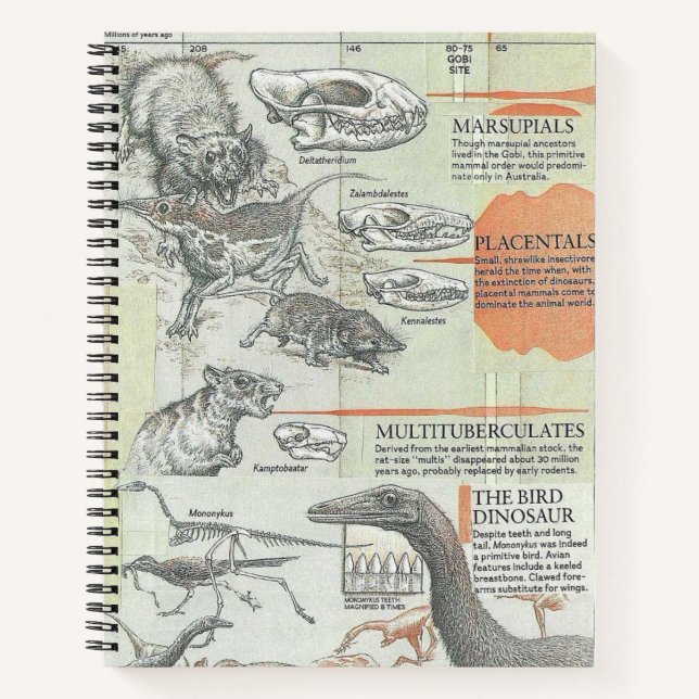 Cuaderno Prehistoric Notebook (Anverso)