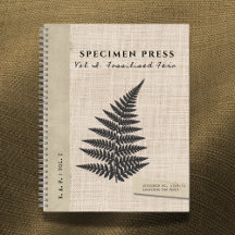Prensa de Especímenes: Helecho Fósil con Aspecto O