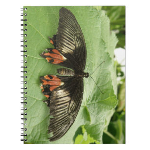 Cuaderno Pretty Black Red and Gold Butterfly Notebook