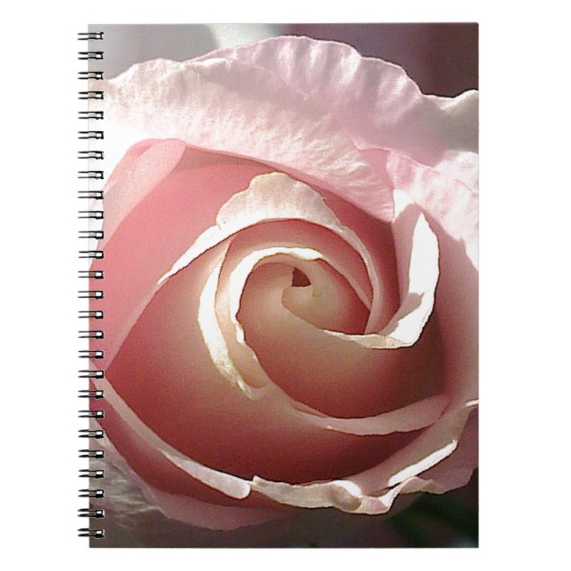 Cuaderno Pretty pink rose (Frente)