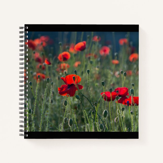 Cuaderno Pretty Poppies in Wild Meadow Photo (Anverso)
