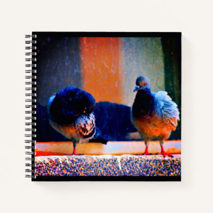 Cuaderno Previendo a las palomas