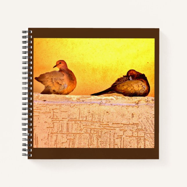 Cuaderno Previendo palomas (Anverso)