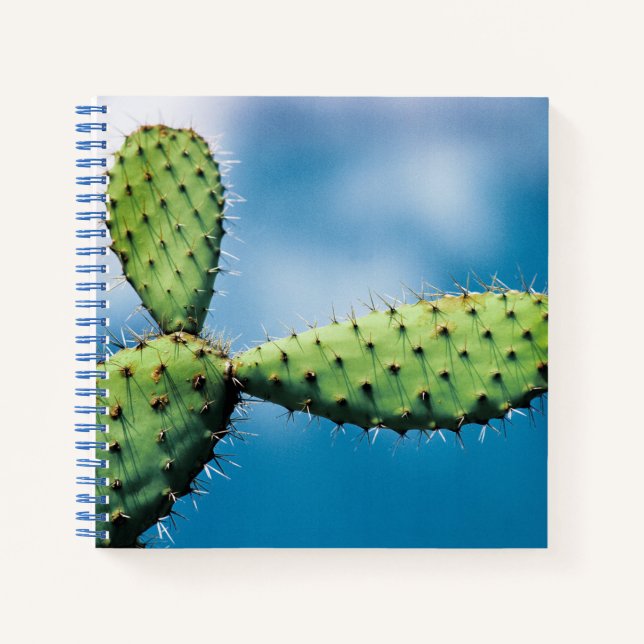 Cuaderno Prickley Cactus (Anverso)