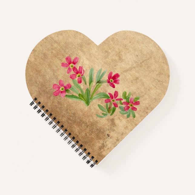 Cuaderno Primario (Anverso)