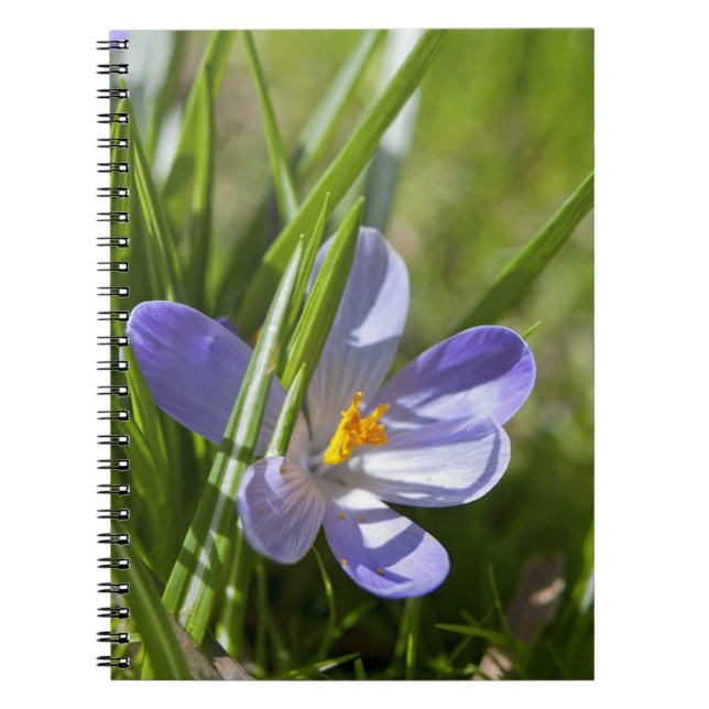 Cuaderno Primavera (Frente)