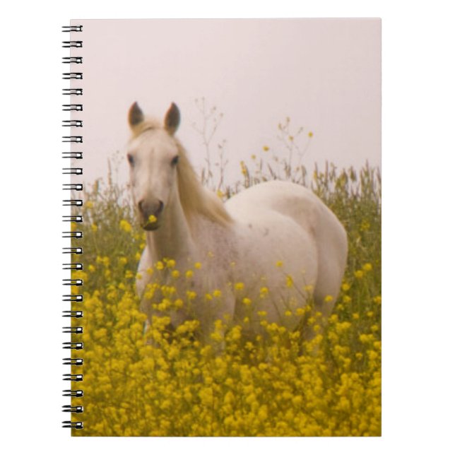 Cuaderno Primavera (Frente)