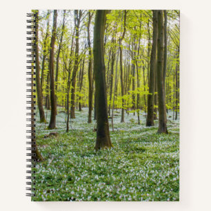 Cuaderno Primavera a la vida
