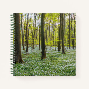 Cuaderno Primavera a la vida