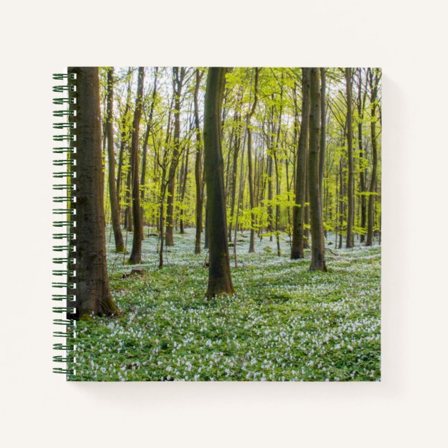 Cuaderno Primavera a la vida (Anverso)