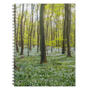 Cuaderno Primavera a la vida