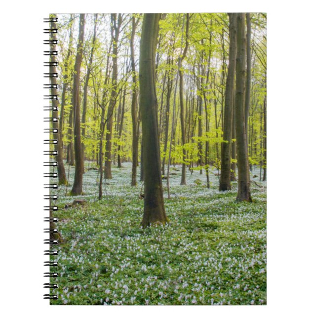 Cuaderno Primavera a la vida (Frente)