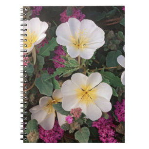 Cuaderno Primavera del desierto y Verbena de arena del desi