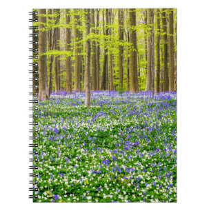 Cuaderno Primavera en el Bosque Azul