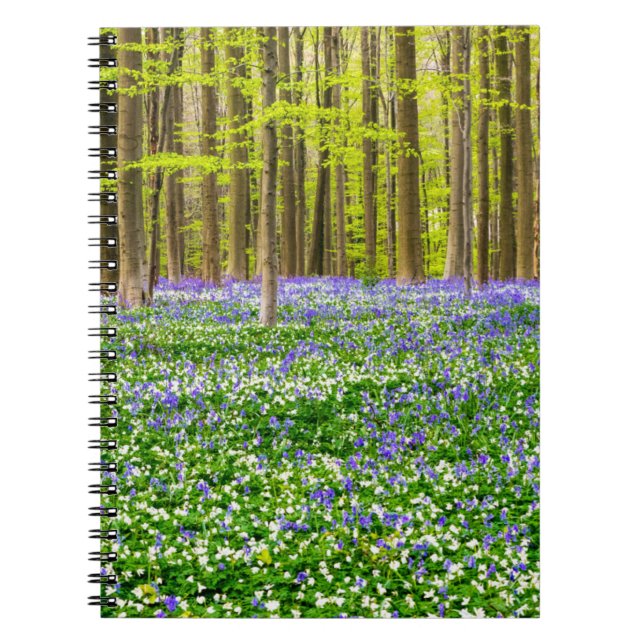 Cuaderno Primavera en el bosque azul (Frente)