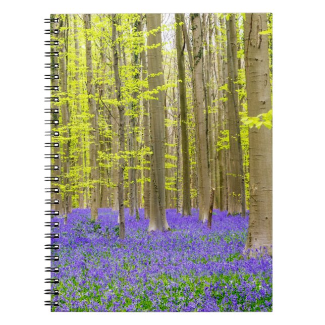 Cuaderno Primavera en el bosque azul (Frente)