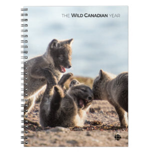 Cuaderno Primavera: Fox ártica