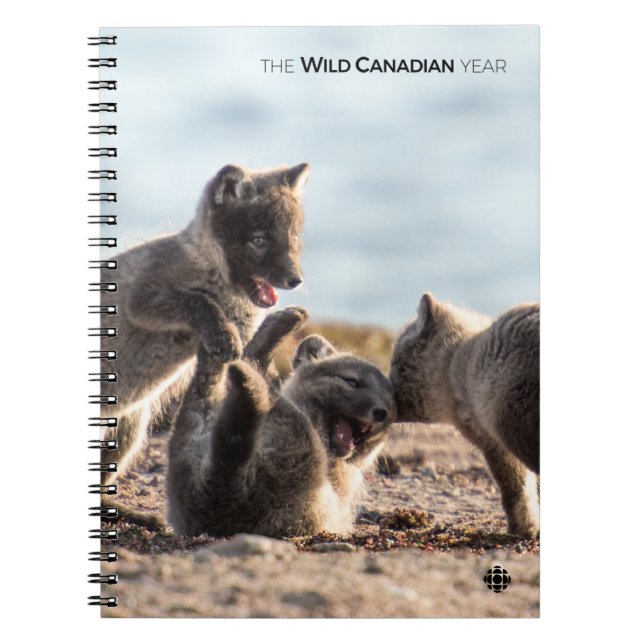 Cuaderno Primavera: Fox ártica (Frente)