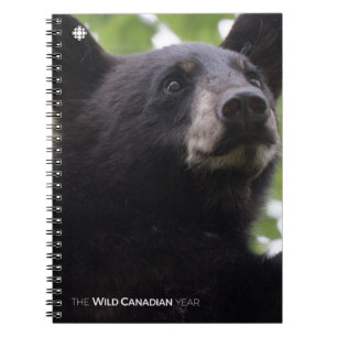 Cuaderno Primavera - Oso negro