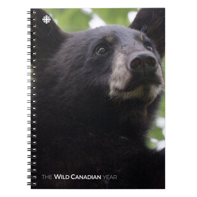 Cuaderno Primavera - Oso negro (Frente)