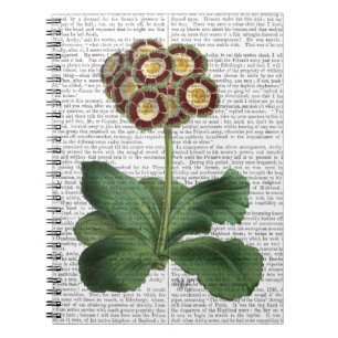 Cuaderno Primea Auricula Red