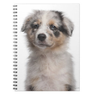 Cuaderno Primer australiano azul del perrito del pastor de