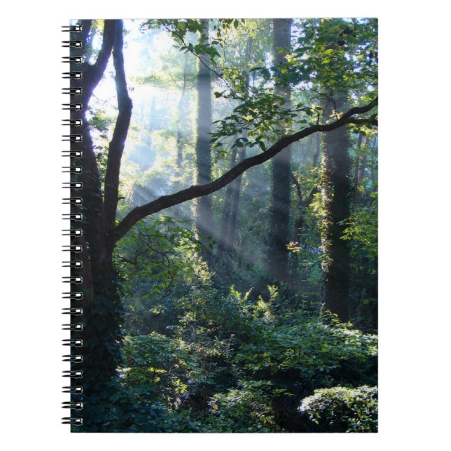 Cuaderno Primer bloc de notas ligero (Frente)