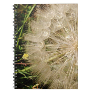 Cuaderno Primer del reloj del diente de león