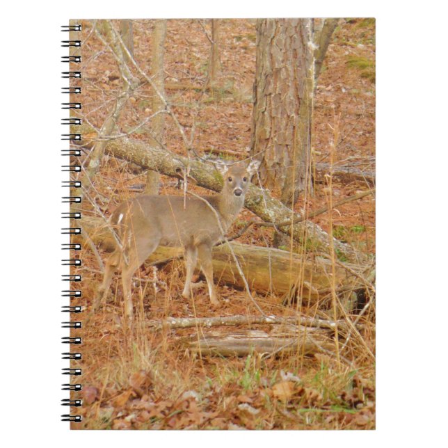Cuaderno Primer invierno de Baby Deer (Frente)