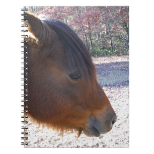 Cuaderno Primer plano de caballo marrón, pequeño pony marró