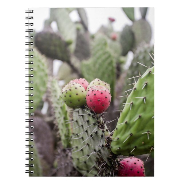 Cuaderno Primer plano de cactus de pera espinosa (Frente)