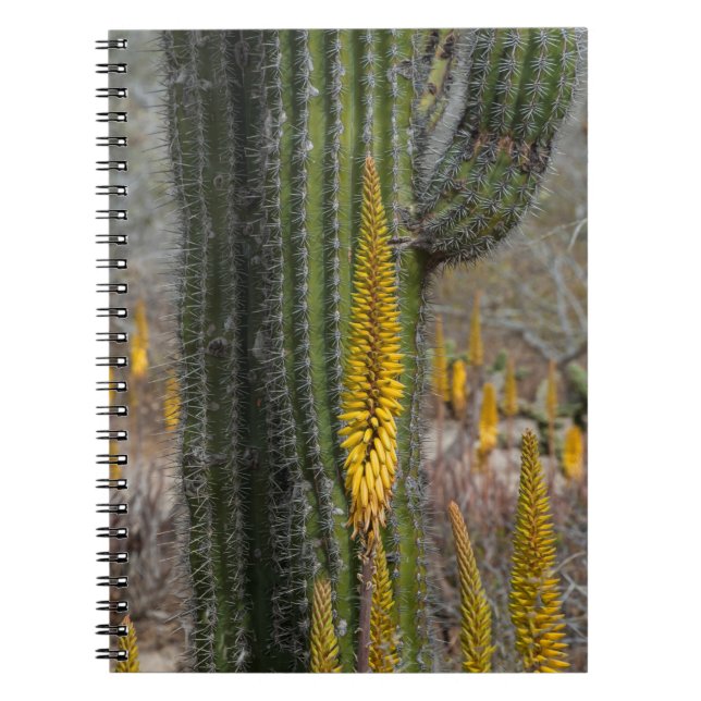 Cuaderno Primer Plano de Cactus y Agave (Frente)